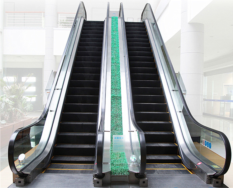 Public Transport Escalator