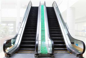 Commercial Escalator 