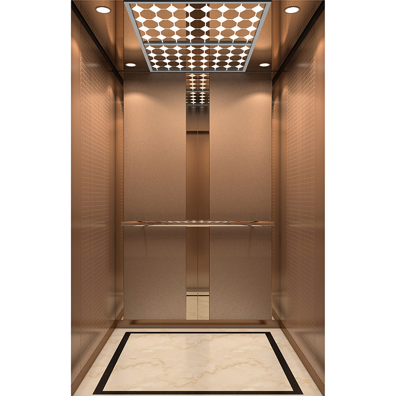 Factory Direct Sale Modern Luxury Passneger Elevator for Commercial Hotel Office and Commercial Building