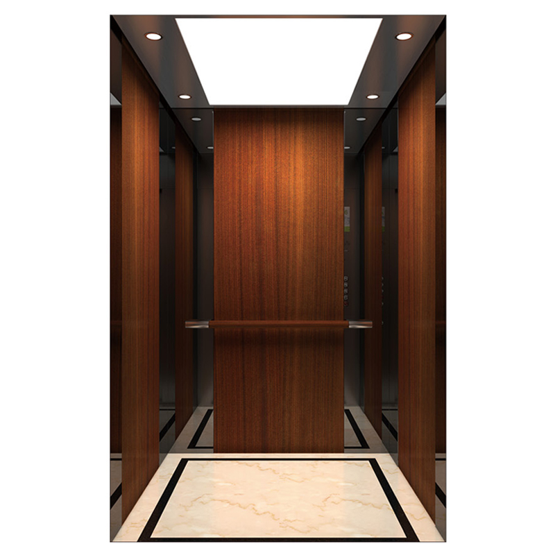 Gearless Mr/Mrl Passenger Elevator Commercial and Residential Use with CE GOST Certification