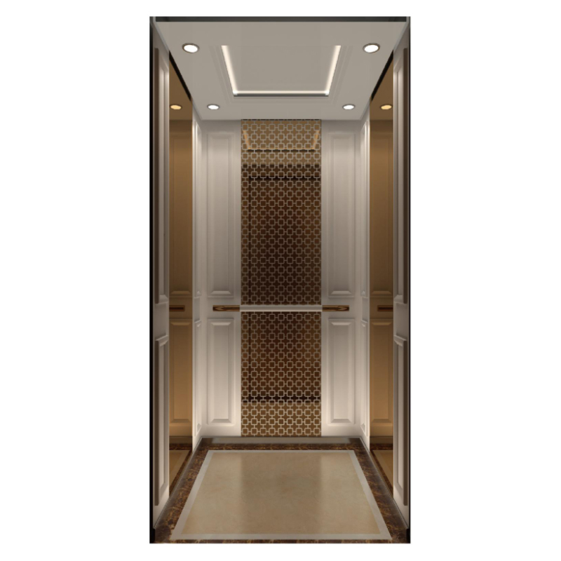 Factory Supply Small Home Use Elevator Villa Lift for Passenger