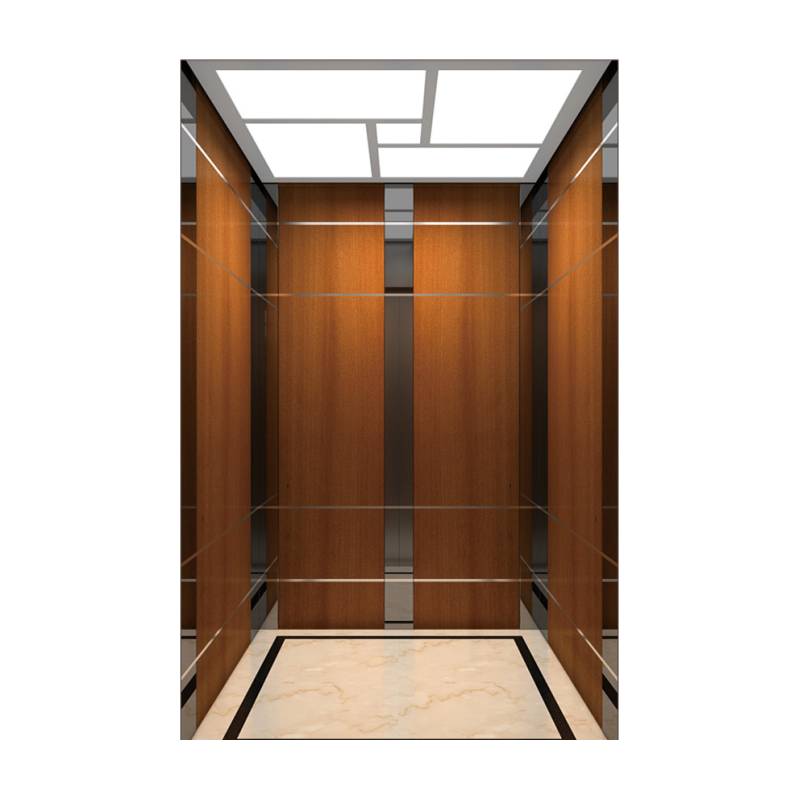 5-33 Person Mr/Mrl Passenger Elevator Gearless Residential Lift