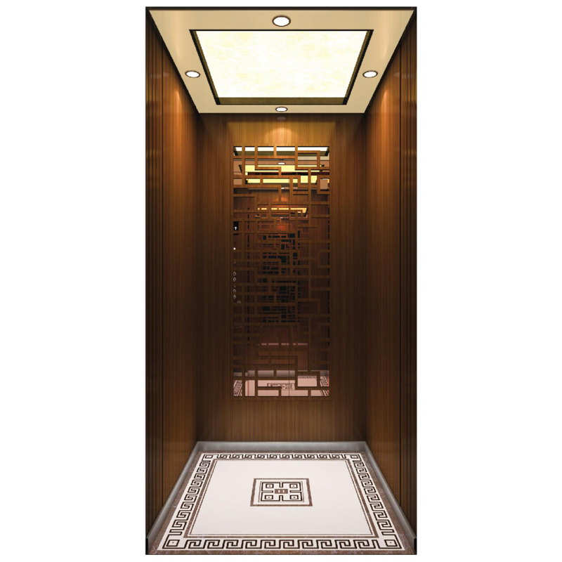 China Luxury Home Elevator Villa Lift High Quality with Cheap Price