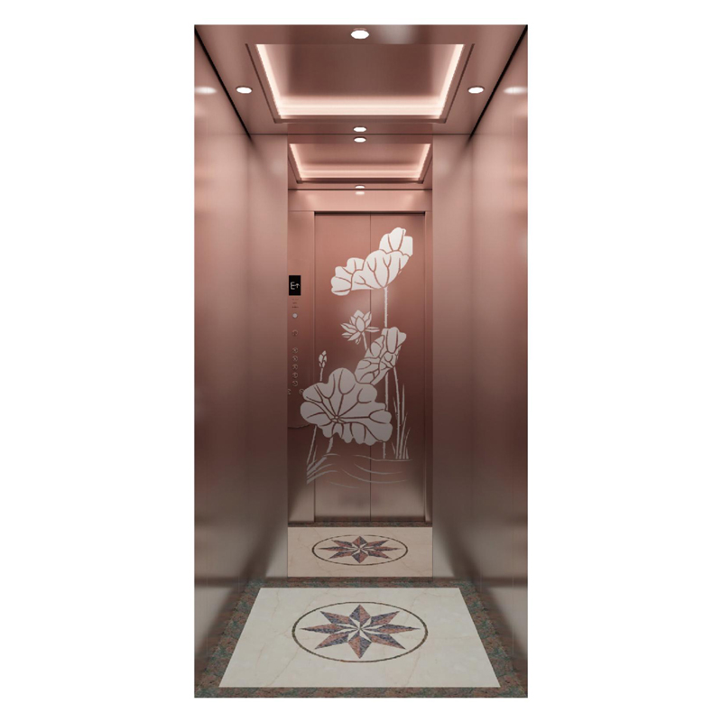 Gearless machine Luxury Cabin Home Elevator Villa Lift for Passenger