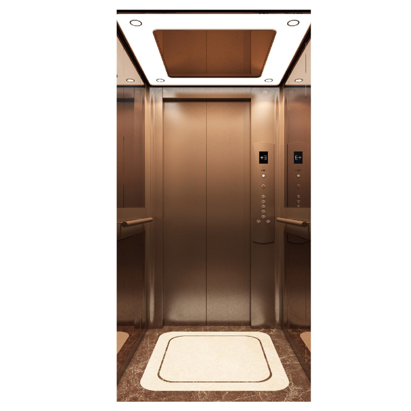 2-5 Floors Gearless Small Home Use Villa Elevator for Passenger