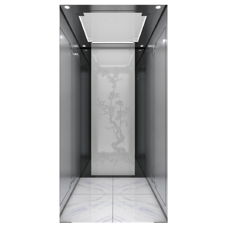 Customized Home Elevator Villa Lift with Modern Design